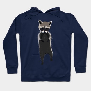 Cute Raccoon Illustration Hoodie